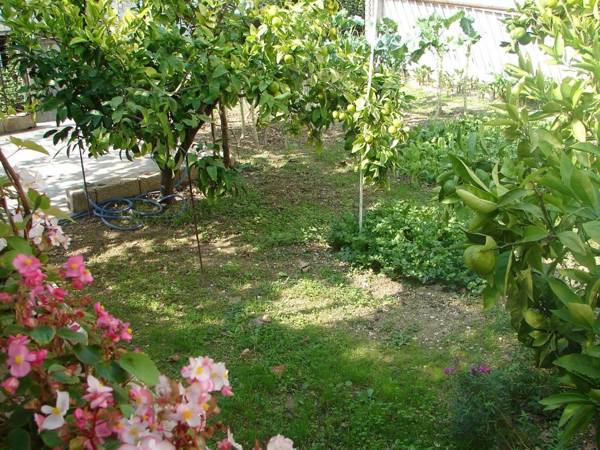 Apartments Zdravko-150m from beach