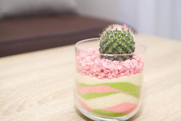 Apartments Ragusa Palace 1 Djardin