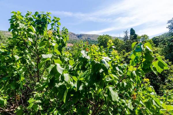 Apartments Eos & Vespera