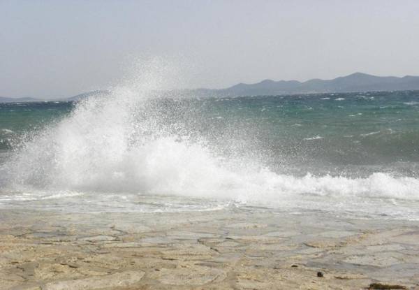 Apartments Mirja - 50 m from beach