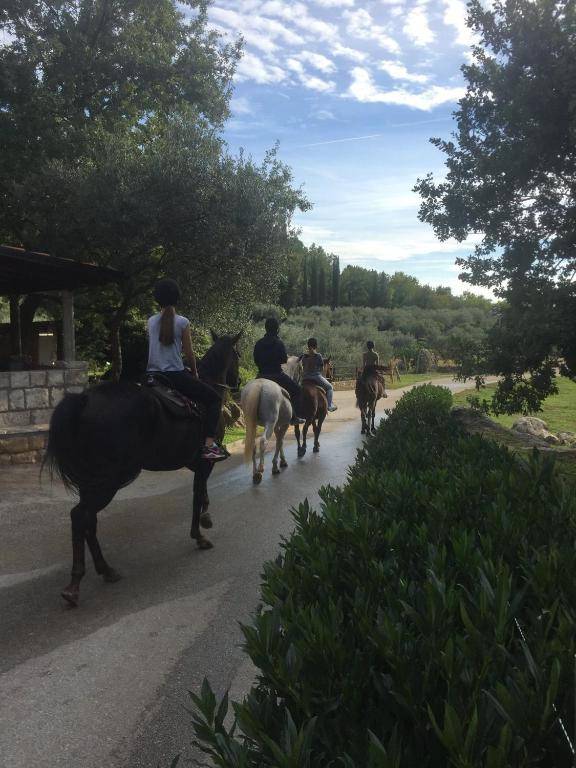 Fisherman's Guest house Galeb