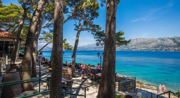 Luxury house Anita in old town Cavtat-beachfront