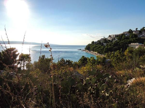 Apartments Smilja - 150m from beach