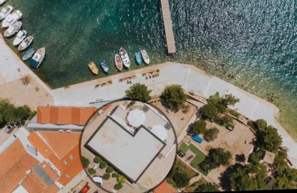 Pansion Zlatna ribica