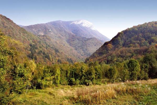 Laura in Drežnica - Haus für 4-6 Personen