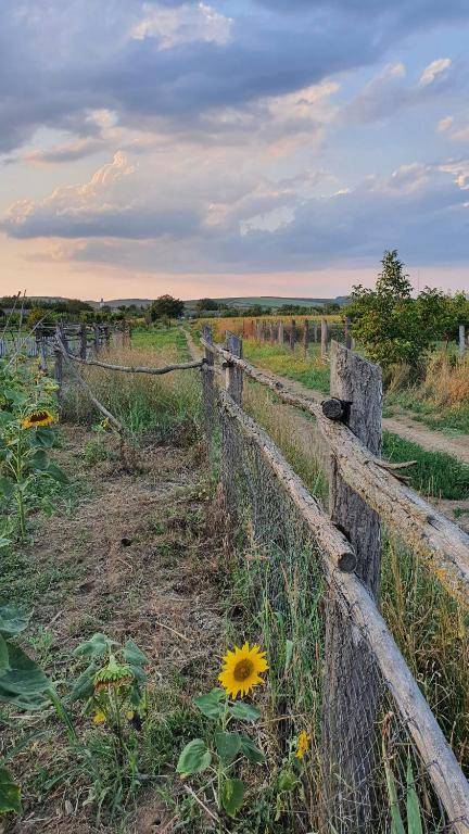 Sobe Kod Baje - Baranjska Kuća