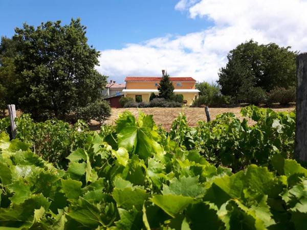 Golden Valley apartment & ranch