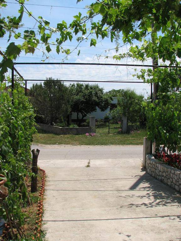 Apartments Nika - nice garden