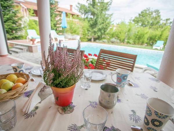 Holiday house with pool gym and sauna for 8 people  25 km from Rovinj