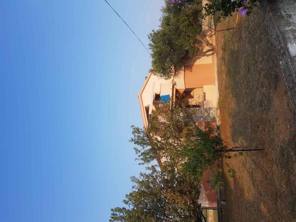 Apartments in Vrsi - Zadar Riviera 41399