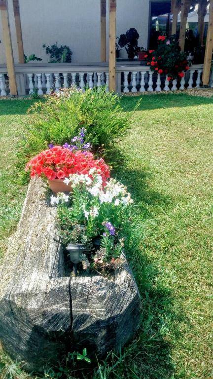 B&B Restoran Bosiljevo