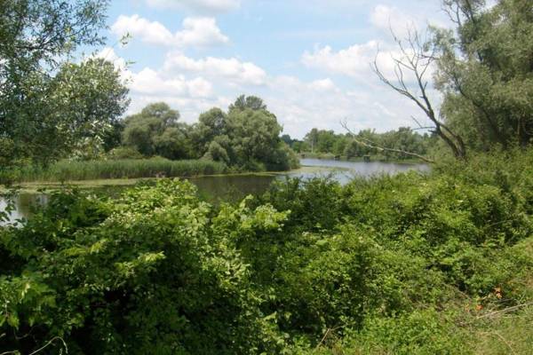 Riverside House Bojko With Jacuzzi