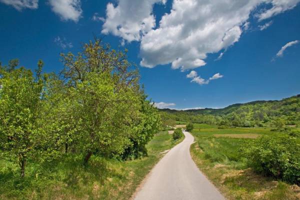 Villa Marija in Pekici (Haus für 8-10 Personen)