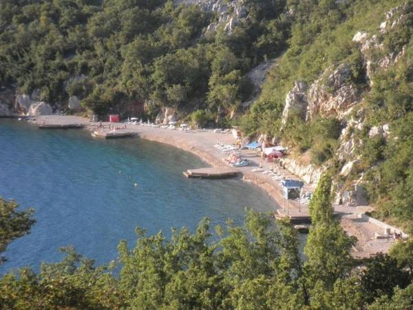 Apartments with a parking space Dramalj Crikvenica - 18709