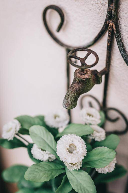 Szent György Cottage