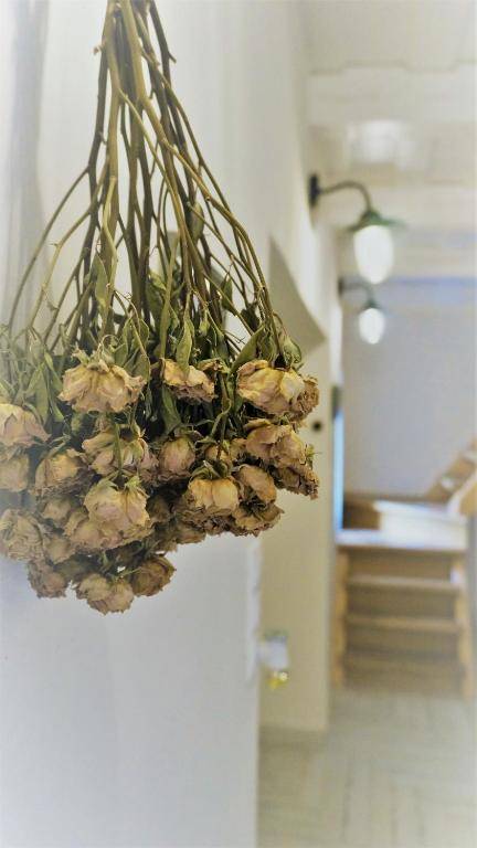 Kál Kőve Vendégház és Bortéka