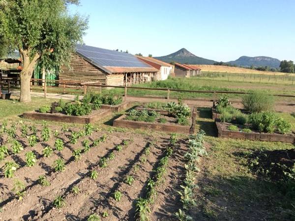 Gyulavezér Lovasbirodalma