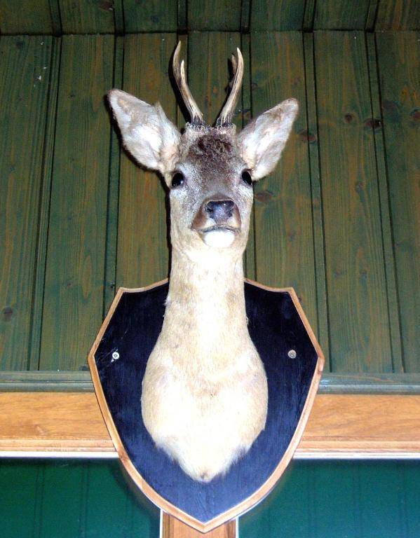 Aranyszarvas-Goldener Hirsch Pension