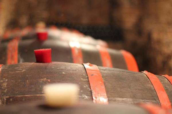 Vojtek Pince Vendégház