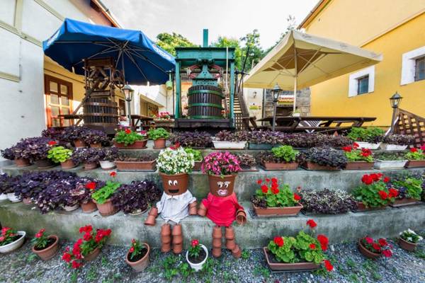 Vaskó Panzió Borpince