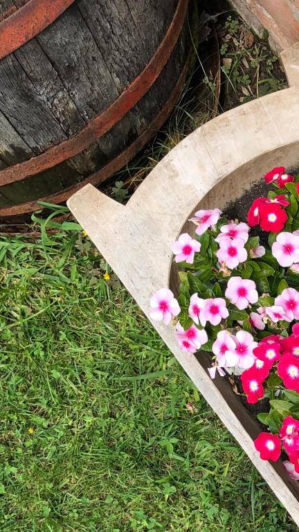 Janicsár Garden Apartman