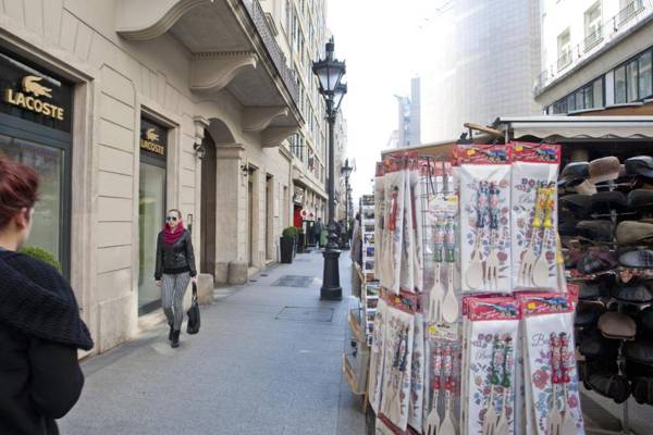 Aurora Apartment Danube View