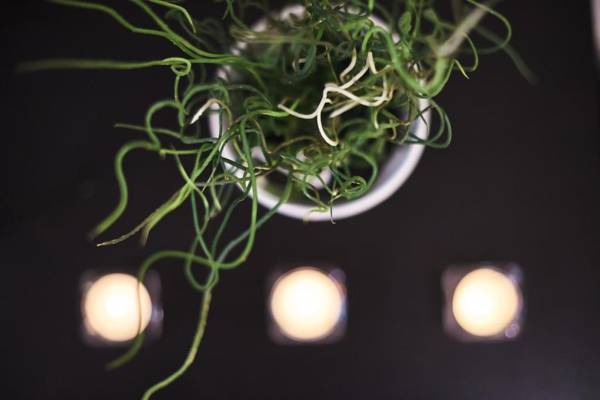 Flat at Lövölde Square