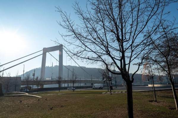 Convenient apartment in the heart of downtown