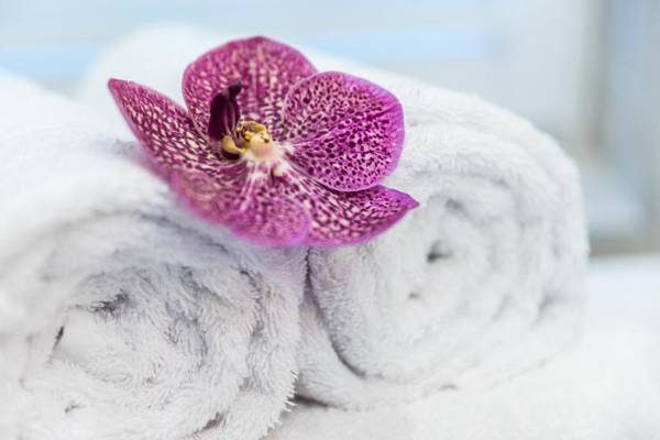 Noemiz Exclusive Apartments