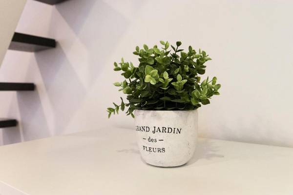 Real Apartments Semmelweis II