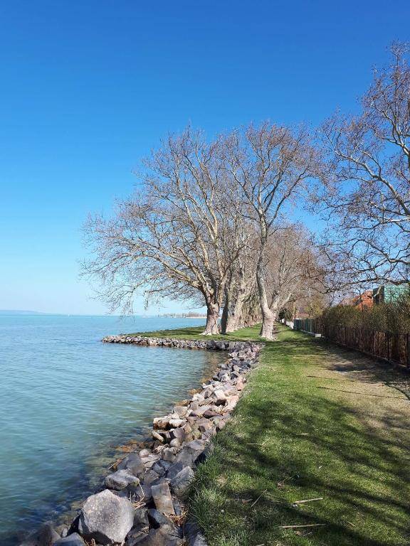 Balaton View Apartment