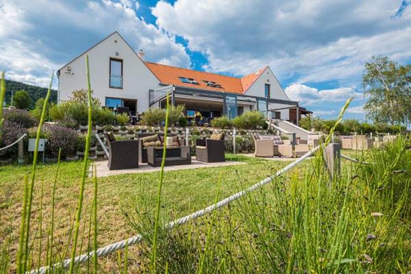 Vitis Kúria 7171 Balatonrendes