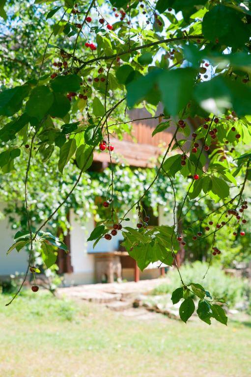 Fecskefészek Vendégház Őriszentpéter