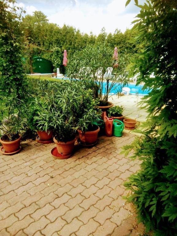 Mézesvölgy Vendégház