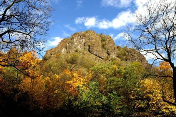 Öko-Park® Panzió-Kemping és Kalandpark