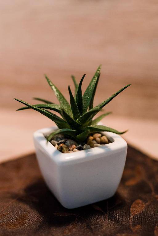 Belvárosi Nemes Apartmanház Szekszárd