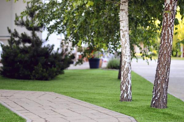 Jászberény Boutique Room