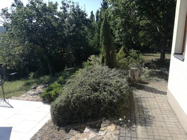 Felsőörsi Nyugalom