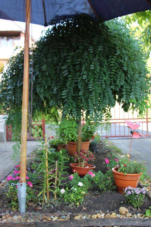 Small House Apartment