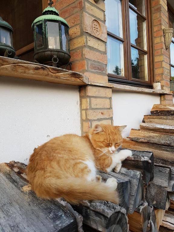 Édes Otthon Vendégház