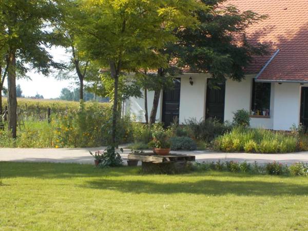 Guest House Vidravar