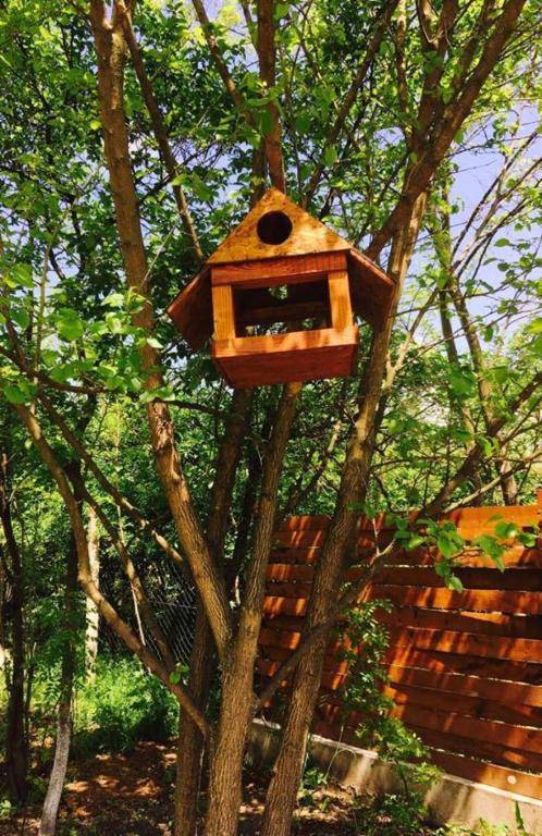 Szamos-Party Vendégház