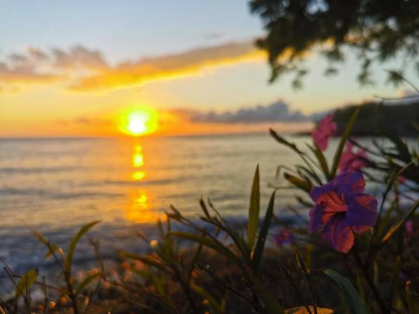 Mimpi Resort Tulamben