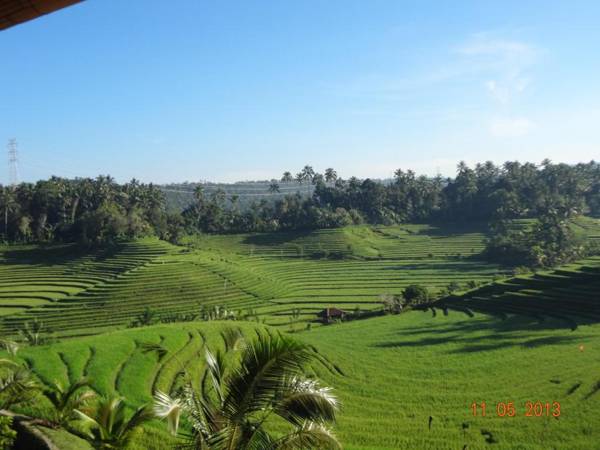 Cempaka Belimbing Villa