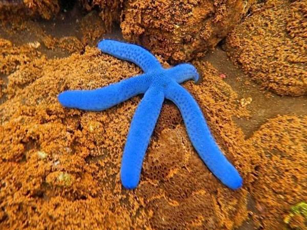 Agung Bali Nirwana Villas and Spa