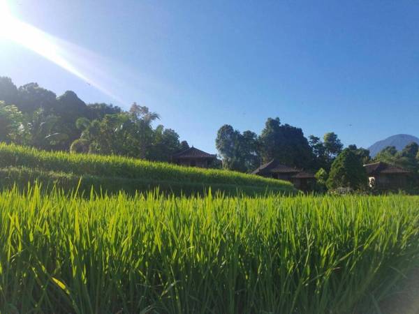 Puri Lumbung Cottages Munduk