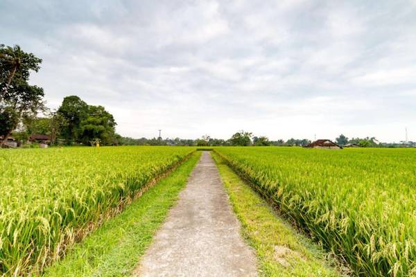 Umasari Rice Terrace Villa