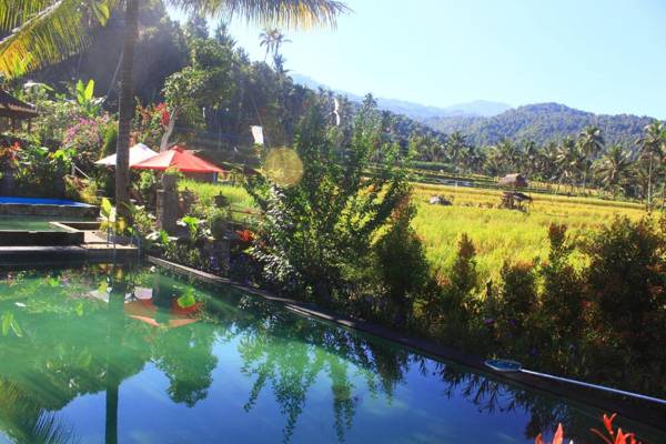 Amartya Puri Green Cottages