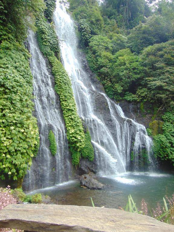 Amartya Puri Green Cottages