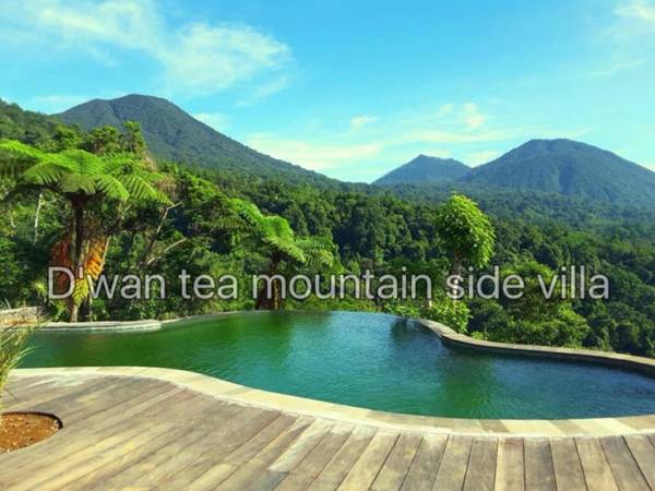 D'wan Tea Mountain Side